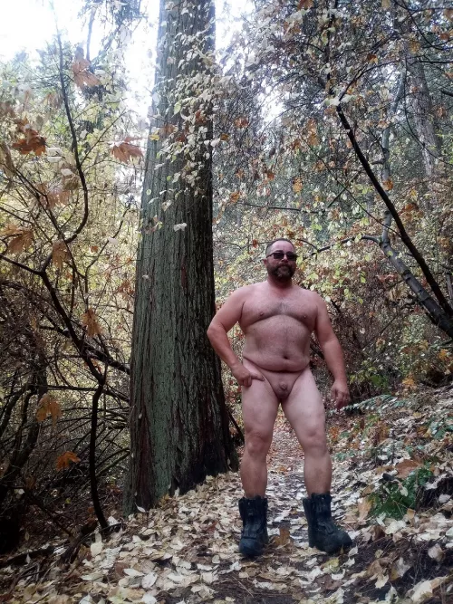 Hiking in the fall is always fun. Less textiles, more colors. :) (50) by Randallsixx13