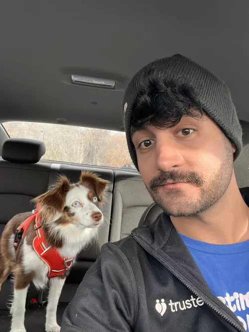 Hiking time with the pup!!! 🐺🐺🐺 by ClearArugula9056