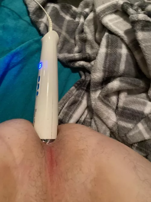 Hitachi magic wand up my ass by redpoopsicle