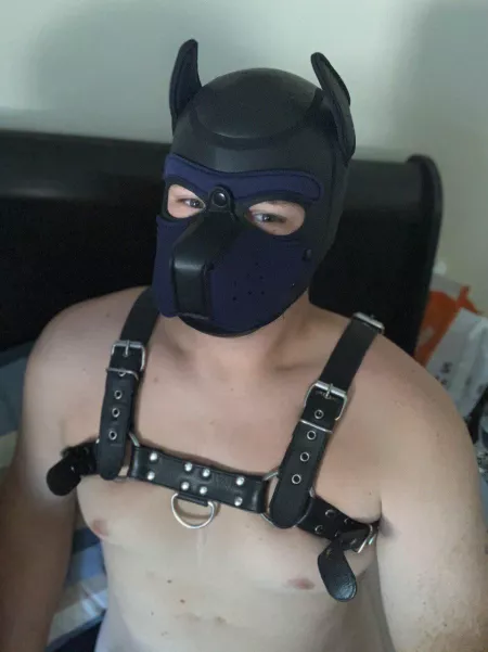 Hiya by Smallmoister1997