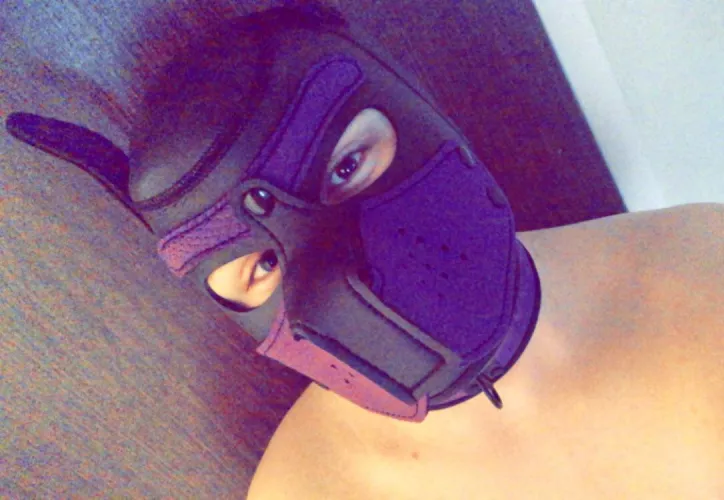 Hiya! Any advice for a new pup? (25M) by CuteNChubby96