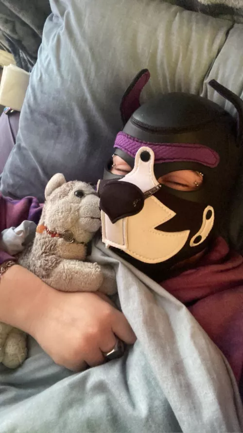 Hmphhhhhhhh sleepy >:•{ (he/it) by Wolfskin14