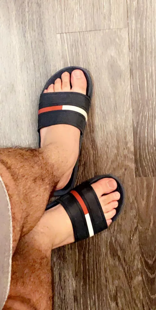 Hmu if you’re in Massachusetts by GayChiGuy