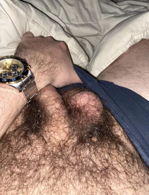 Hmu if your’e into hairy bears. Kik rrzz1233 by gaynhairy123