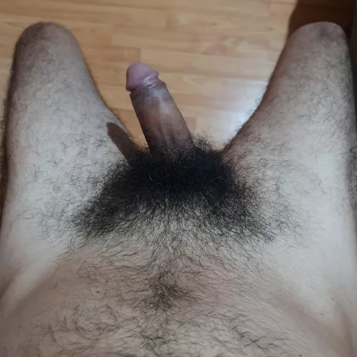 Hola. you like? lets play a game. Send message. by zag869