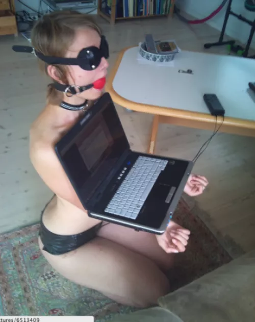 Holding the laptop for Master while he looks at prettier girls by Silakaruna