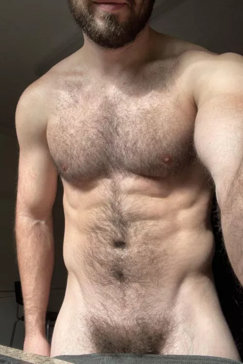 Holiday bush by Vorpalitie