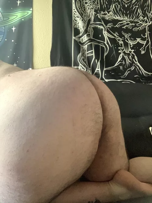 holiday dinner served early by teddybarenaked