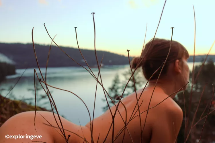 Home for me is where the sea meets the trees by ExploringEve0