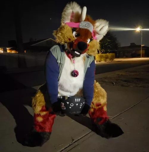 Homemade Shinobi for Halloween ❤ by FurrinFoxDoe