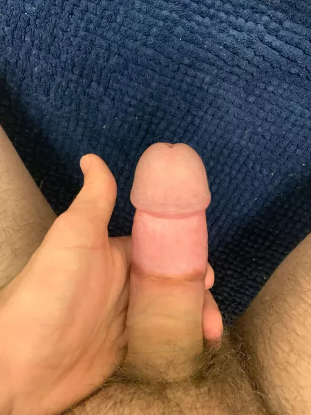 Honest opinions? by brx14