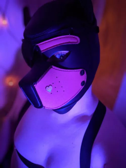 Honestly I really like the way I look in this picture ! My pup hood is definitely a big confidence boost. by LosoGem