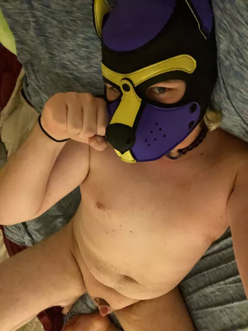 Honestly one of the cutest puppy pics I’ve ever taken of myself. Anyone wanna cuddle the sissy good girl? by Megablah99
