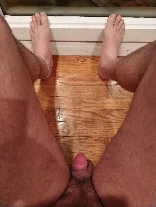 Honesty time. I'm looking for comments, opinions, assessments. Let's hear it all! [40] by barefootnaturist