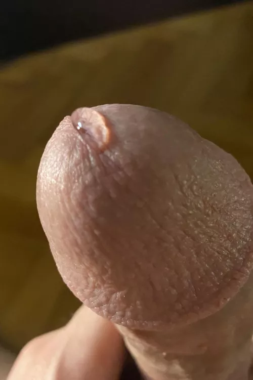 Honey of the day by kakuleyn