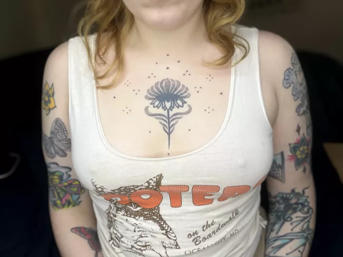 honk honk by uwuucifer2