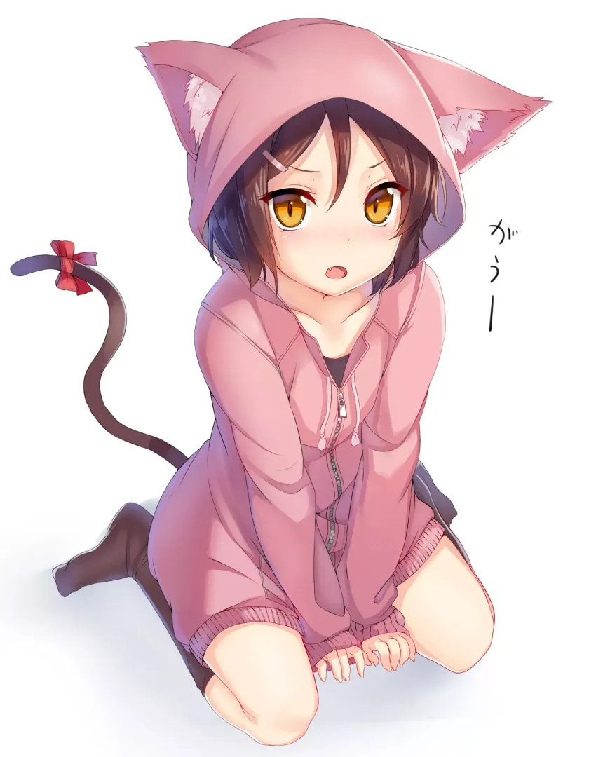 Hoodie-kitty posted by Dhova
