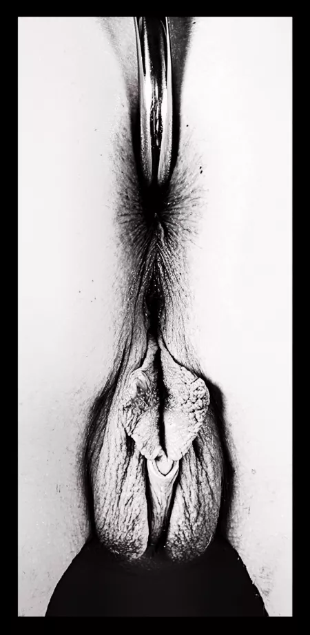 Hook and Flower by elska_z