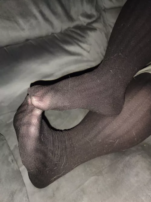 Hope everyone has a good New Year and enjoy my nylons. Dms welcome. by Average-Express