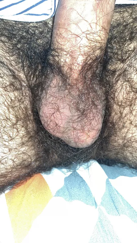 Hope they’re not too hairy for you all by Joeyboyo