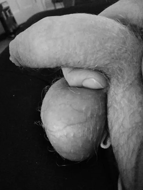 Hope u like, Dms open 😉 by Tempcock505