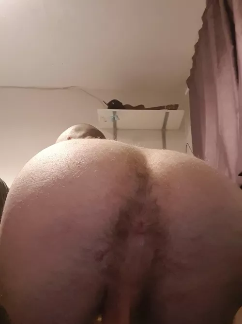 hope u like it by biguy56789