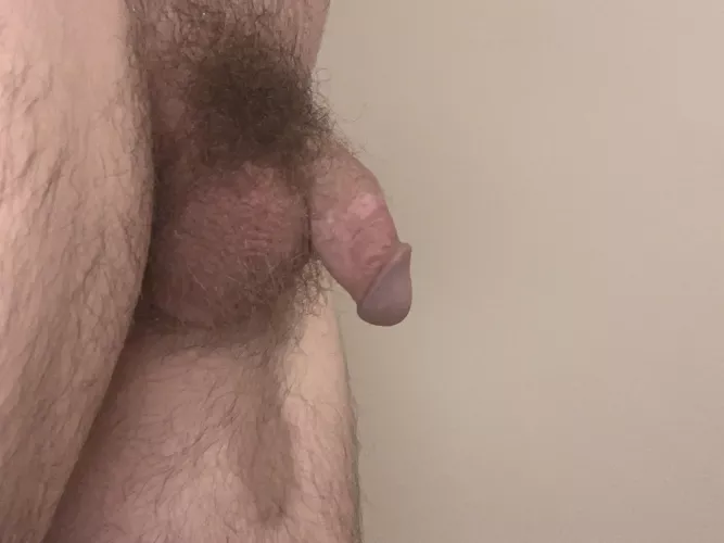 hope you are enjoying your night :3 by piggly123