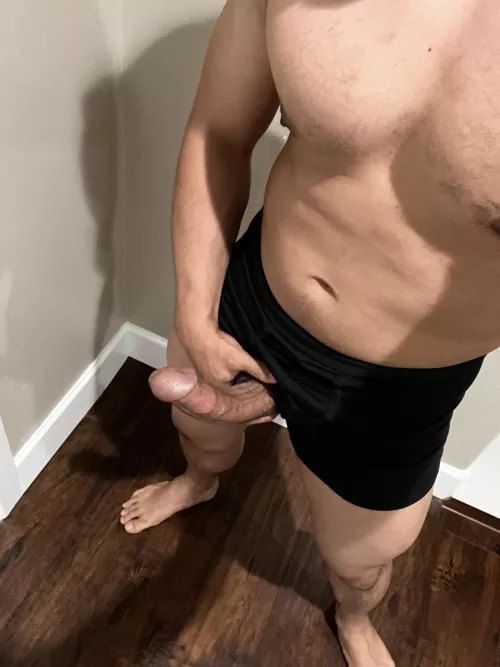 Hope you don’t mind me hanging out by throw22342