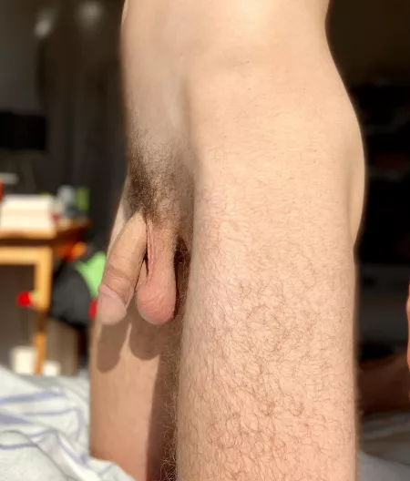 Hoping the neighbors didn’t see me take this by aspiringhimbo3