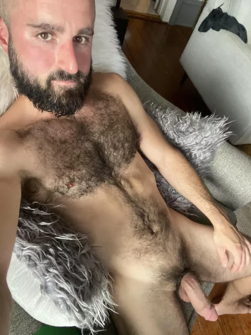 Horned up by 2400nola