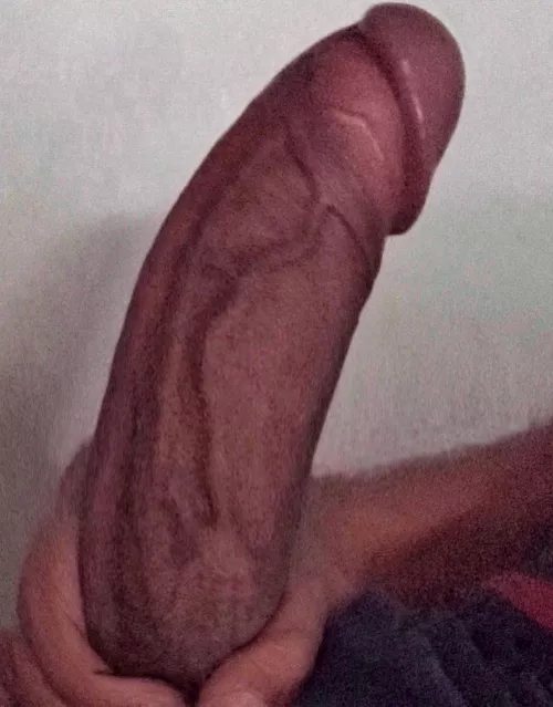 Horny af right now😈 by Stunning_Traffic5886