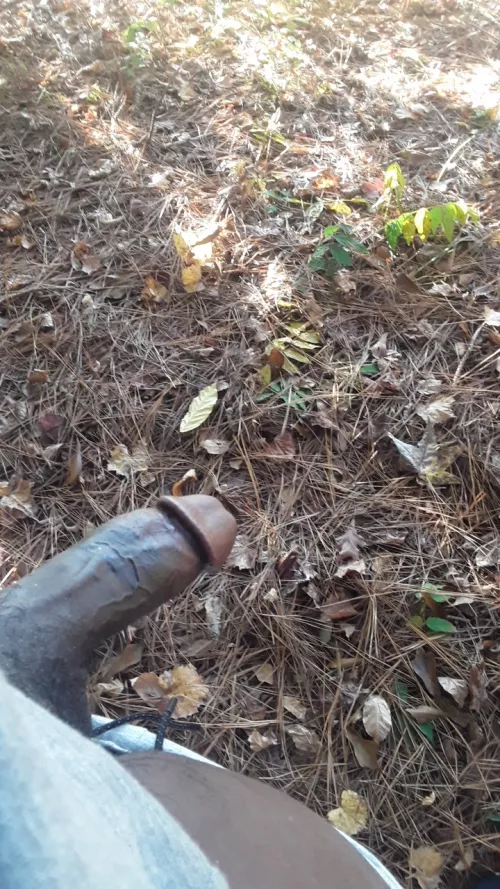 Horny in Nature 😈 by strokemachineatl