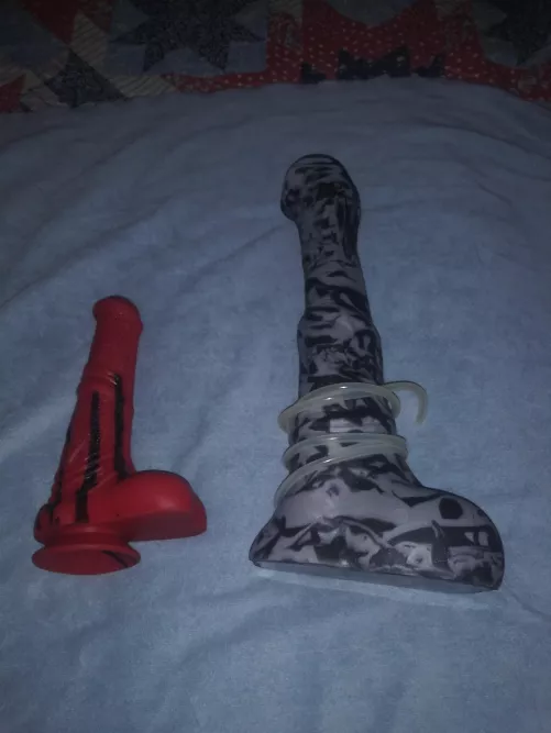 Horsing around by compkil