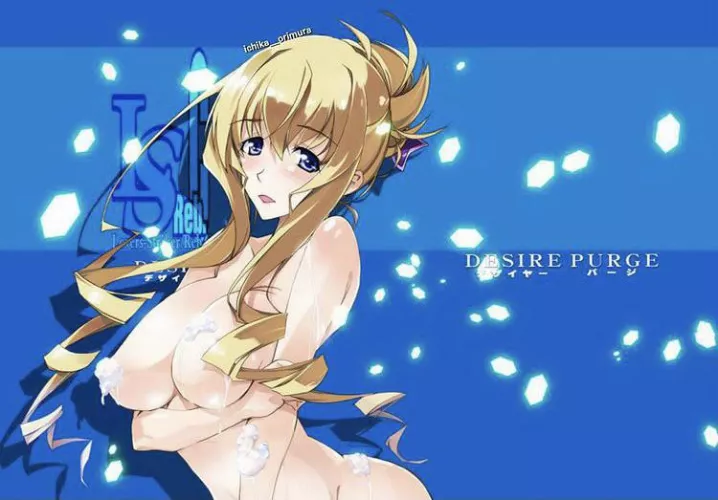 Hot body (infinite stratos) by Southern-Range7363