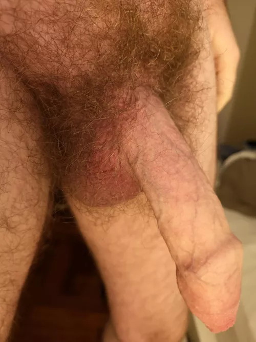 Hot bush with uncut dick by Hairieh
