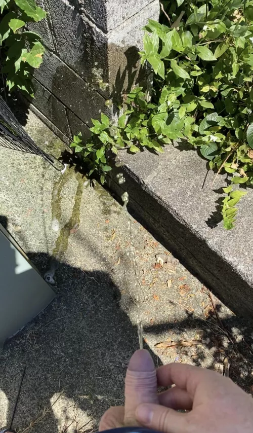 Hot day and a warm (golden) stream by Ancient-District7182