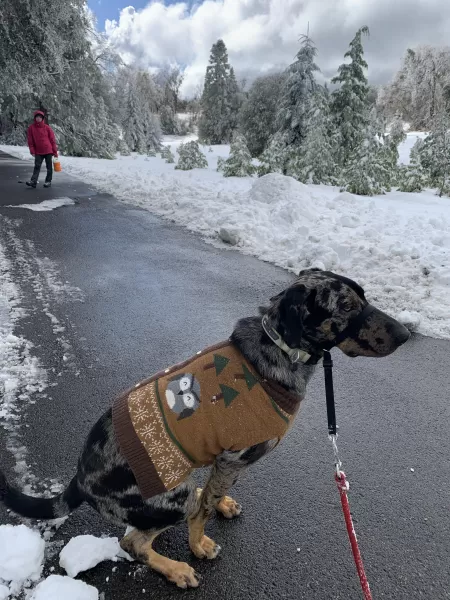 Hover sit by Armyfarmer