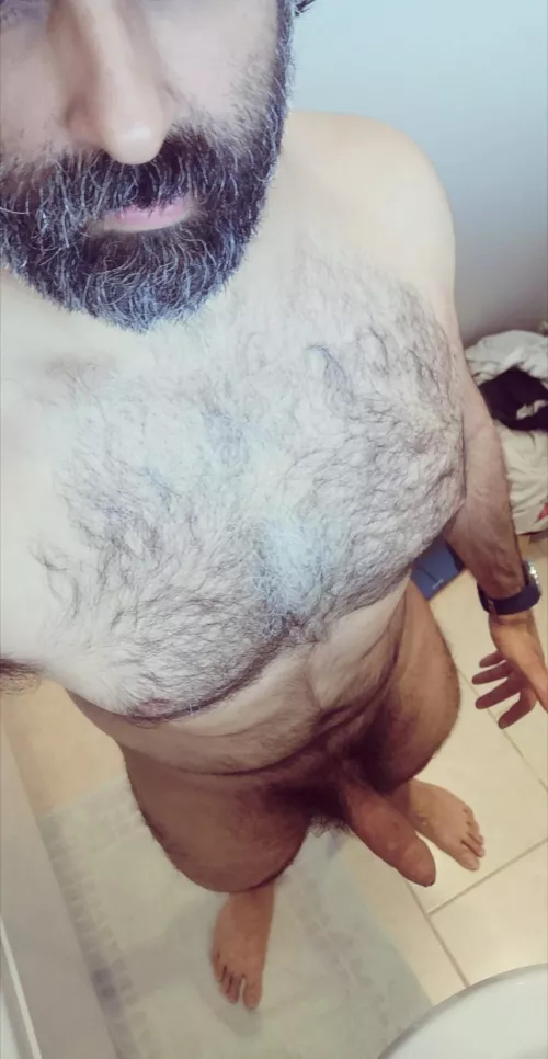 How about hump away hump day? (41) by senordude88