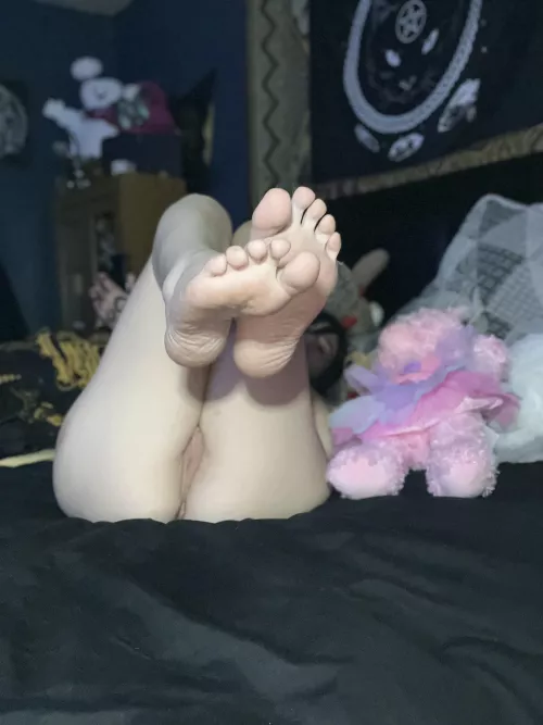 How are you spending your New Years? by Tickittyyy