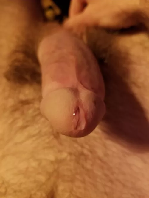 How badly do you want to lick it? by prof22357