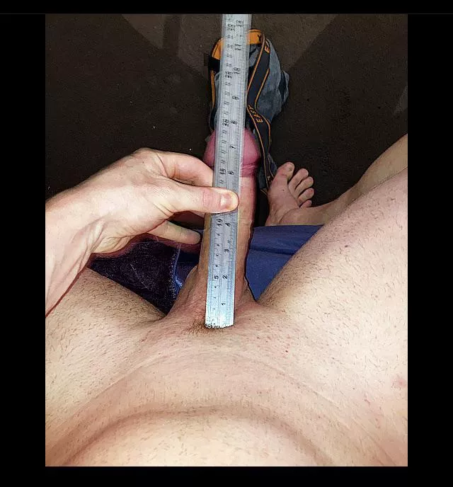 How big is my cock need help what would u say posted by bigDBigD00