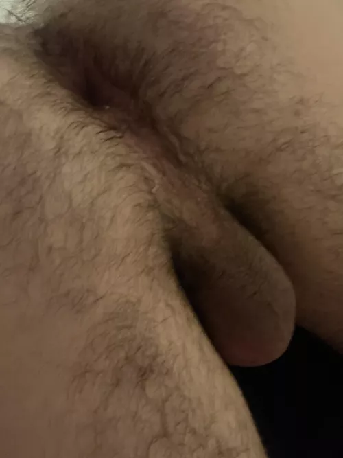 How can I be of service? by salimburner