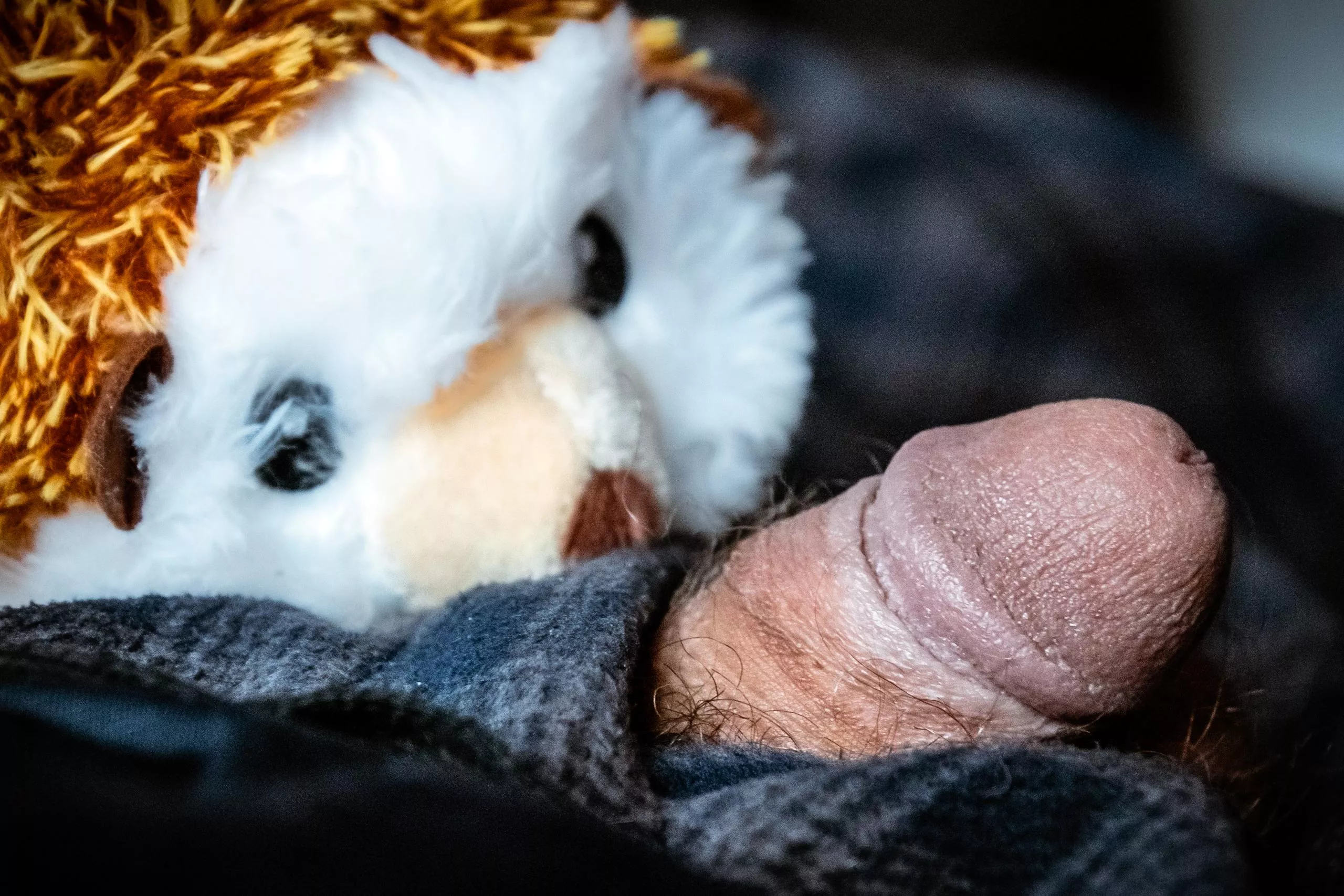 How cute is thus little guy? [31] posted by nerdmego