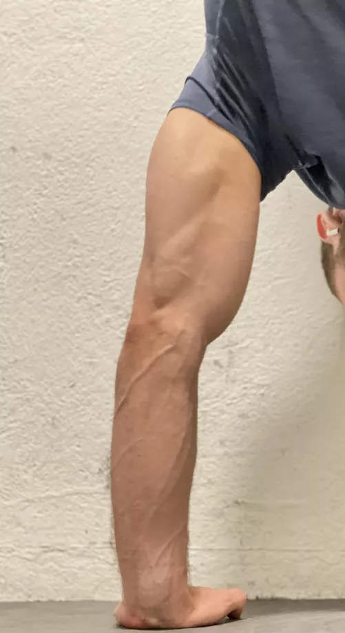 How did i get here? by Fitcookieface