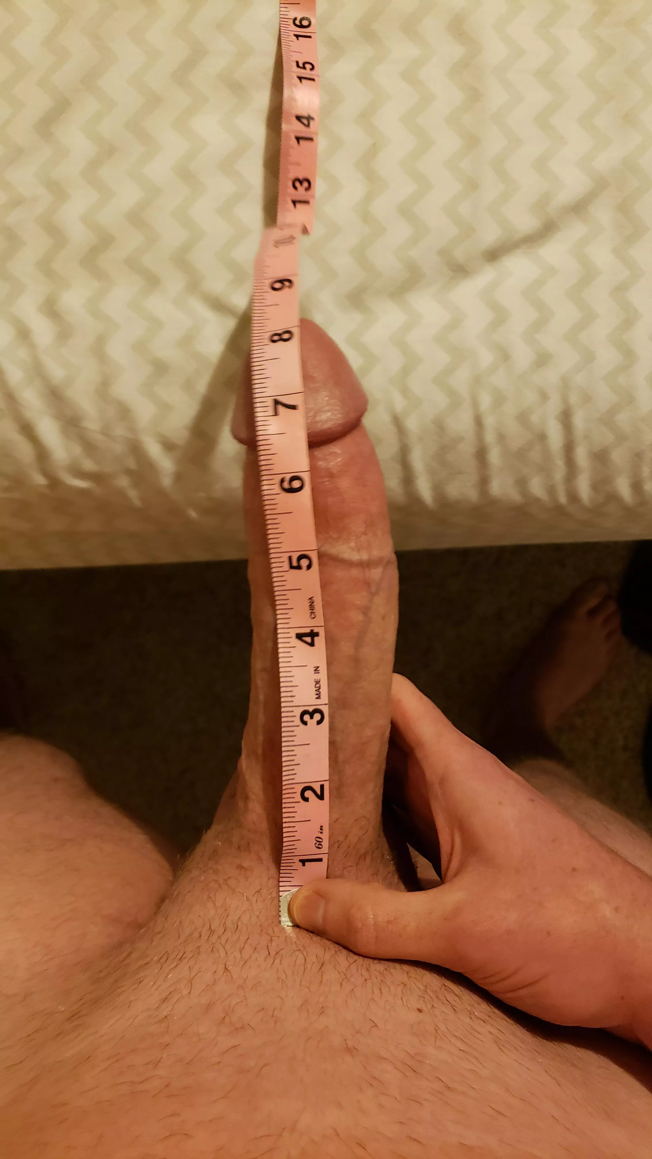 How do I measure up? posted by TimsBWC