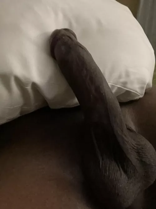 How do my balls look by hungman1990