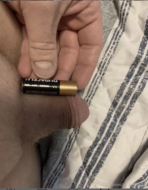 How do you compare to a AA? by bi_timmy_