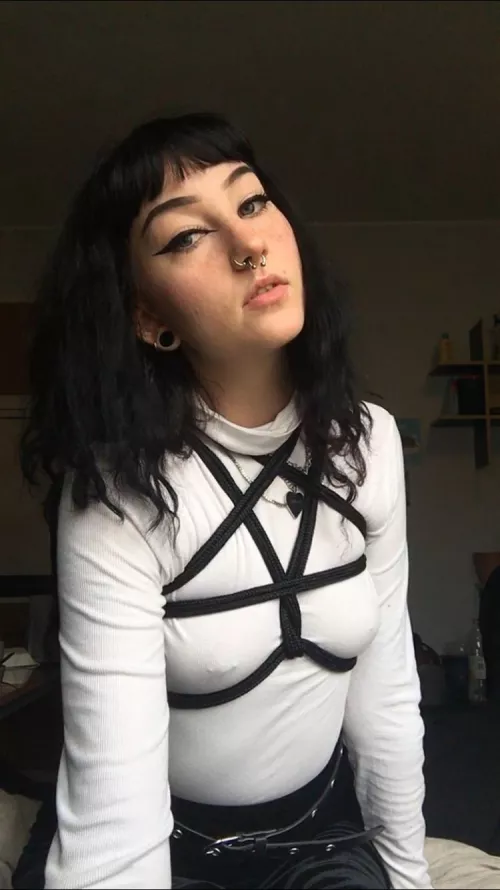 How do you like my harness? by sipetinh