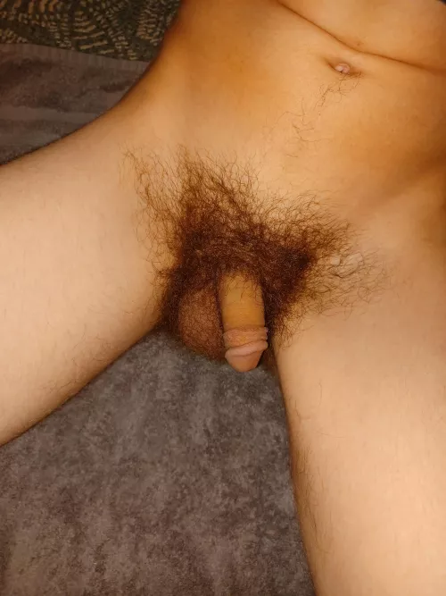 How do you plan to make this 19yo virgin softie hard? by throwawaypen1s69