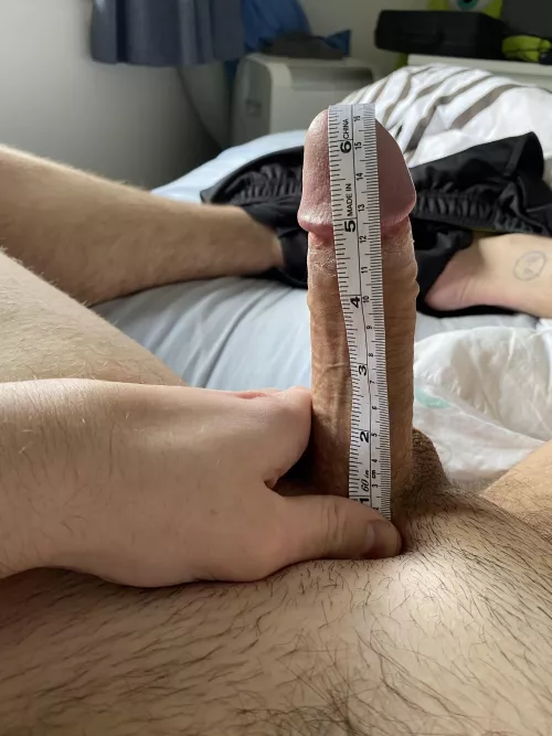 How does it look? by daniel1991996